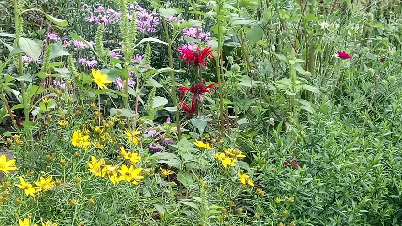 Ferienwohnung Waldblick Zweibrücken Zewnętrze zdjęcie