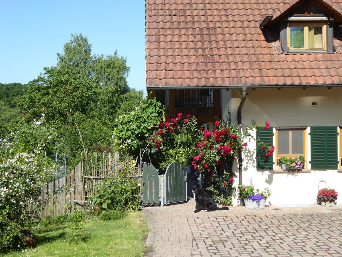 Ferienwohnung Waldblick Zweibrücken Zewnętrze zdjęcie